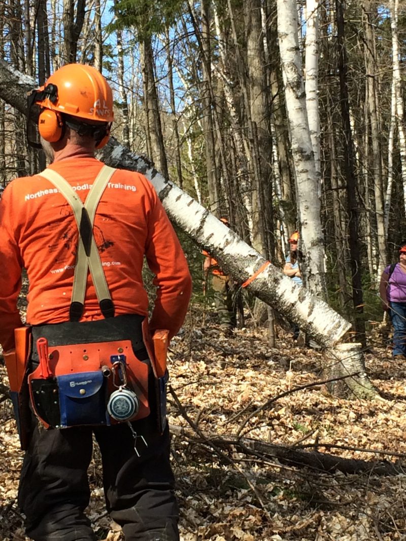 vermont logging