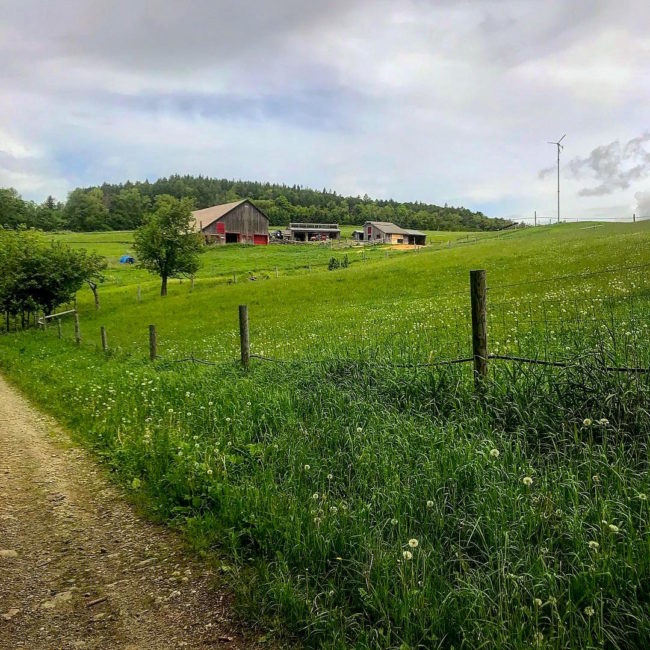 Vermont farm, visit